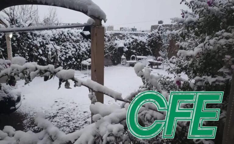 AYIYE76NLNFPNCJWC6IUIV4IHM