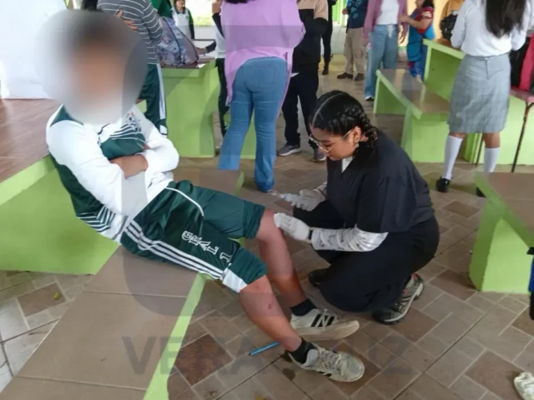 perros_pitbull_secundaria_minatitlan_3