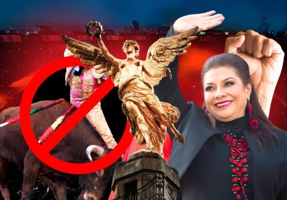 WhatsApp Image 2026-02-05 at 16.22.56