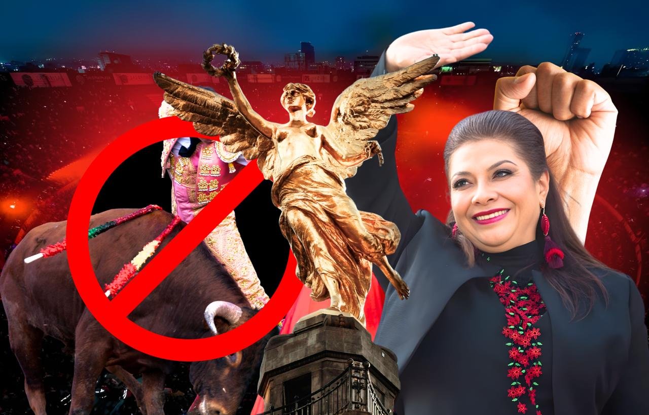 WhatsApp Image 2026-02-05 at 16.22.56