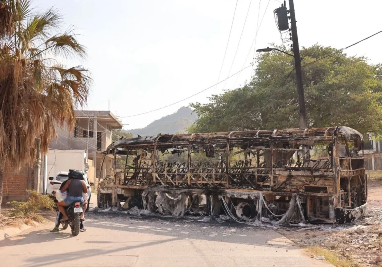 trasladan-a-51-detenidos-en-nayarit-13-son-menores-y-20-mujeres_d8daf8e2-d95c-4537-b2fb-1e017b608a35_medialjnimgndimage=fullsize