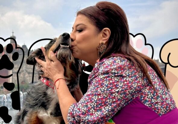 WhatsApp Image 2026-03-03 at 13.59.59