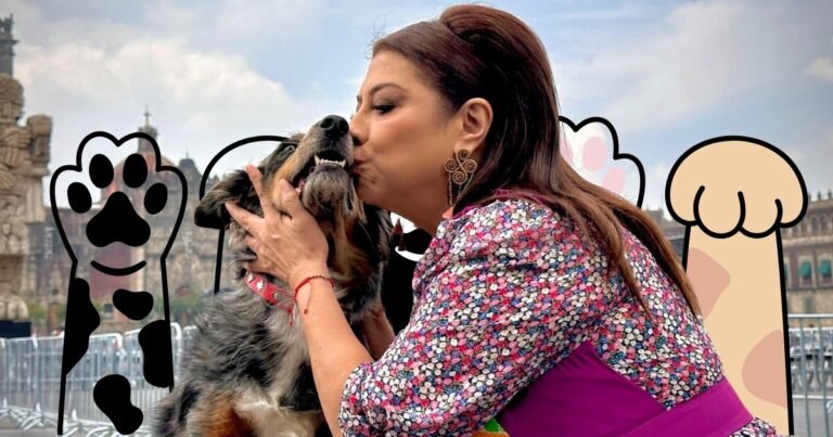 WhatsApp Image 2026-03-03 at 13.59.59