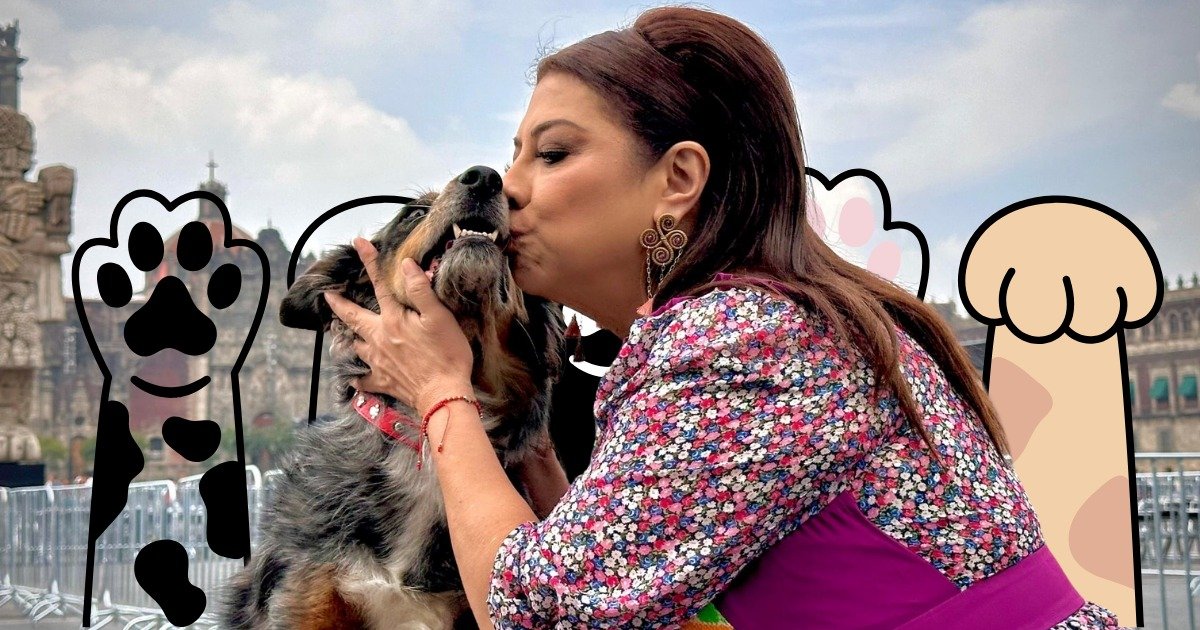 WhatsApp Image 2026-03-03 at 13.59.59