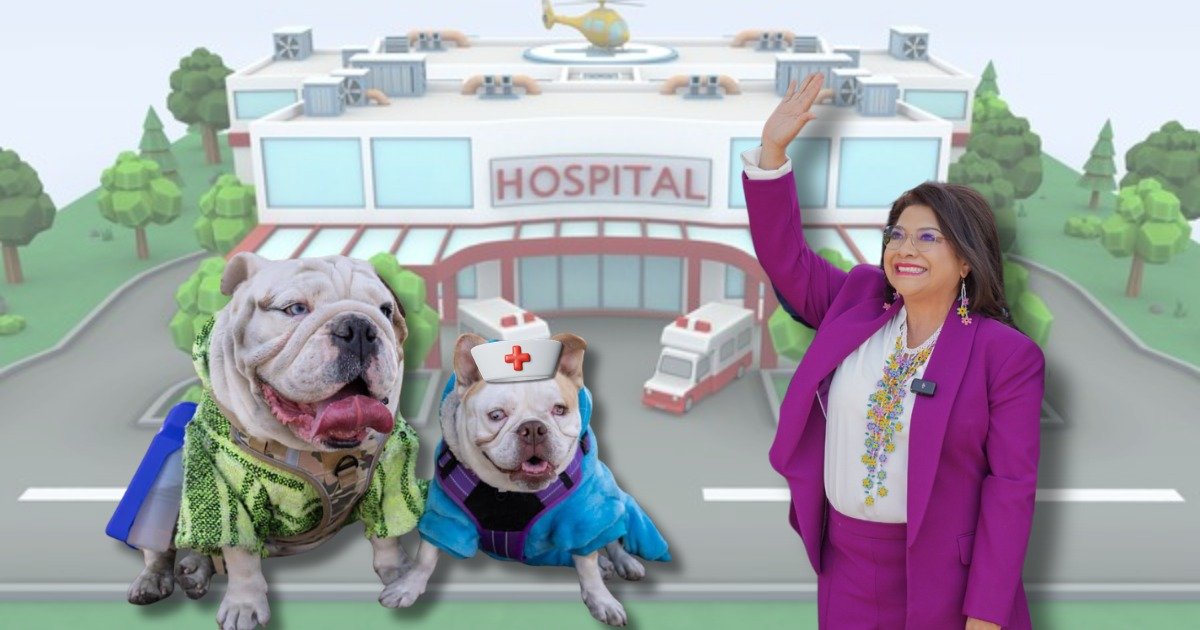 WhatsApp Image 2026-03-04 at 5.49.13 PM (1)