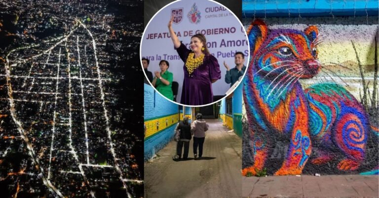 WhatsApp Image 2026-03-10 at 17.11.43