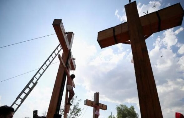 WhatsApp Image 2026-03-25 at 11.12.14