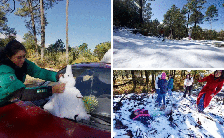 en-plena-primavera-familias-capitalinas-disfrutan-de-nieve-en-el-ajusco_65e13672-8c27-4ecf-a6a3-2dfedf5f0245_medialjnimgndimage=fullsize