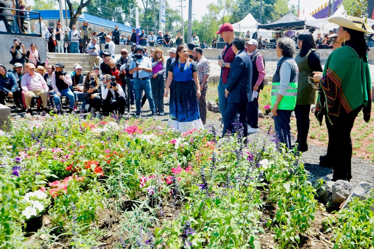 instalan-jardin-de-lluvia-cerca-del-estadio-azteca-para-reducir-inundaciones_fdc25337-c0c6-442c-9035-3d9c60fabeab_medialjnimgndimage=fullsize
