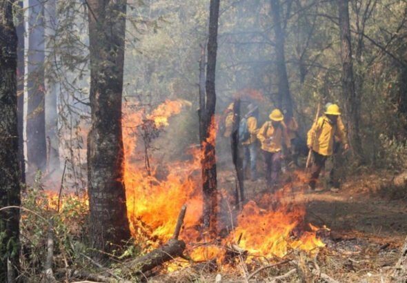 preve-conafor-un-panorama-complicado-de-incendios-forestales-por-cambio-climatico_08904cb0-3980-4499-98e5-4237463ee4bd_medialjnimgndimage=fullsize