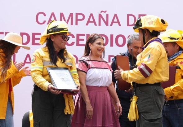 WhatsApp Image 2026-04-01 at 13.08.41