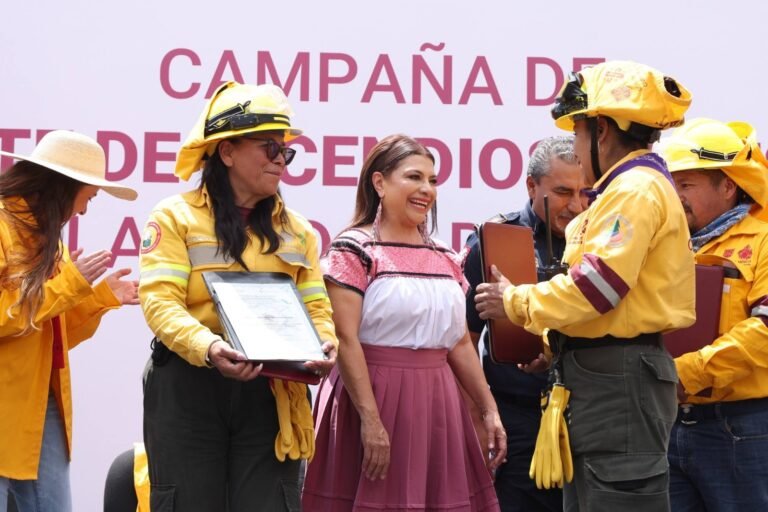 WhatsApp Image 2026-04-01 at 13.08.41