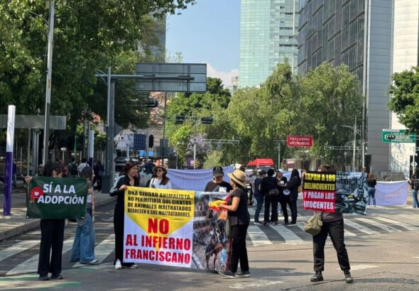 bloqueos-marchas-y-obras-colapsan-el-transito-en-distintos-puntos-de-la-cdmx_82222a43-943a-41e3-8280-1946a0cdfeb5_medialjnimgndimage=fullsize