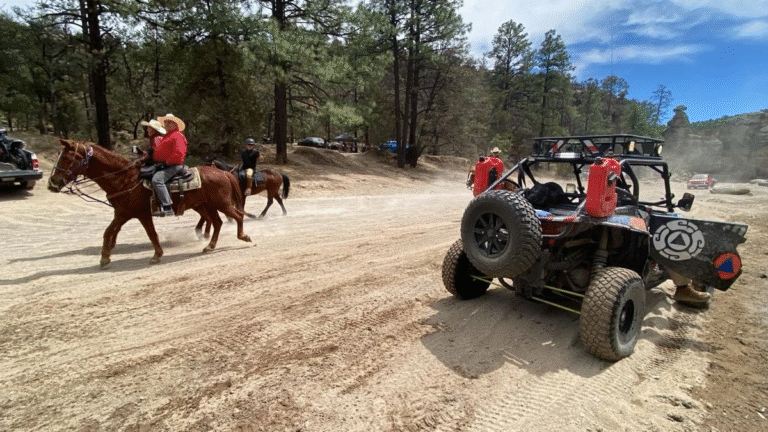 chihuahua-cerran-areas-de-acampar-en-majalca-por-riesgo-de-incendios-en-semana-santa_db7d1a05-31d2-4a27-95b3-95dea8b178cb_medialjnimgndimage=fullsize