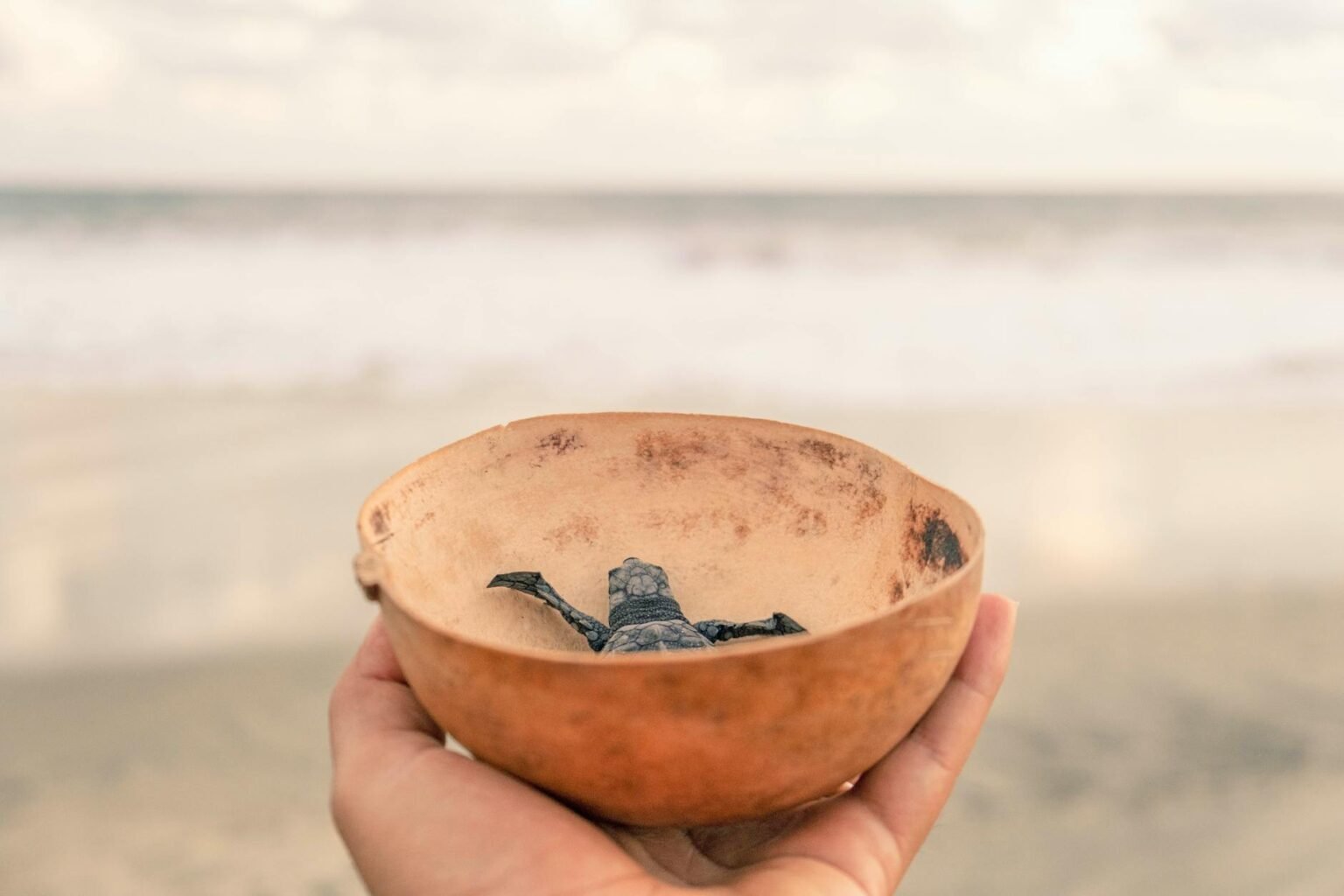 featured-image-1536x1024