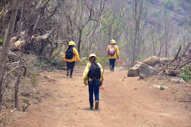 incendio-forestal-en-el-veladero-ha-consumido-500-hectareas-la-mitad-en-area-protegida_50d19746-66fc-4c8c-979d-065211318f42_medialjnimgndimage=fullsize