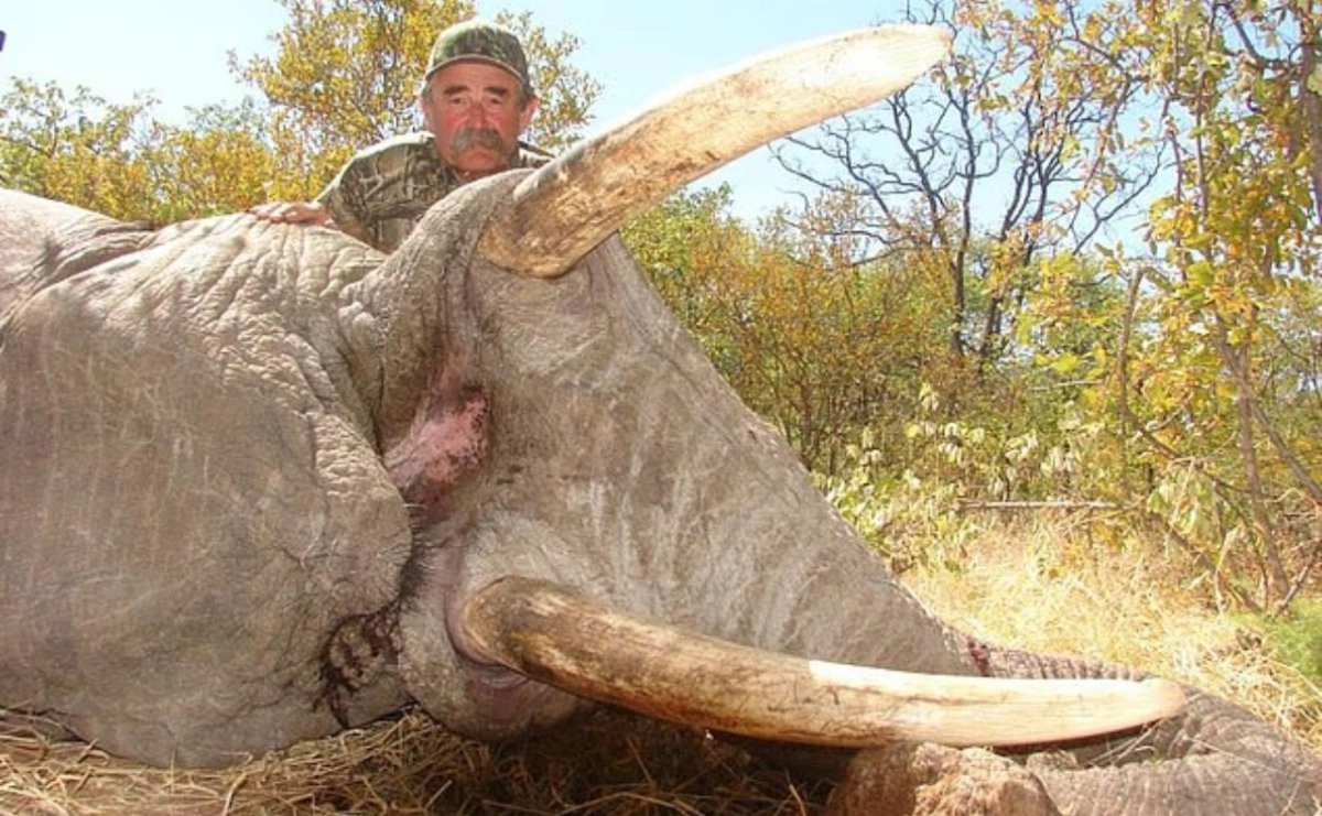 justicia-en-la-selva-de-africa-elefantas-emboscan-y-matan-a-cazador-para-proteger-a-una-cria_0317174c-28d9-4dab-996e-f75f7960db34_medialjnimgndimage=fullsize