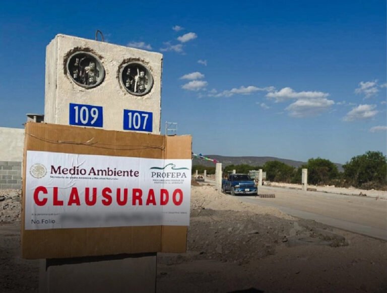 profepa-clausura-obras-de-lotificacion-en-reserva-de-la-biosfera-tehuacancuicatlan-en-puebla_c5707b94-33ed-4977-8412-958501a53306_medialjnimgndimage=fullsize