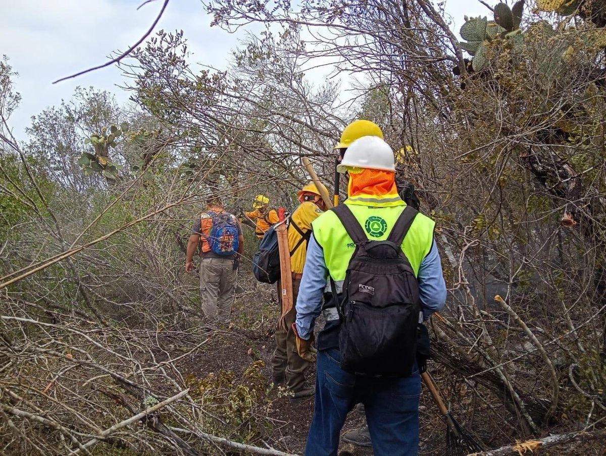 proteccion-civil-de-slp-vincula-ola-de-calor-con-el-repunte-de-siniestros-forestales_e93edcce-6123-4