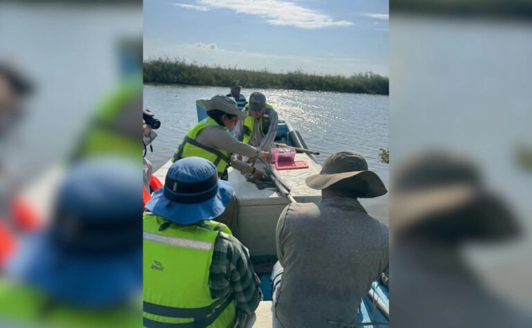 tamaulipas-con-nuevo-estudio-evaluan-capacidad-de-humedales-para-almacenar-carbono_e62a0fc1-96c6-47f1-96ae-7cb1e8ba11f9_medialjnimgndimage=fullsize