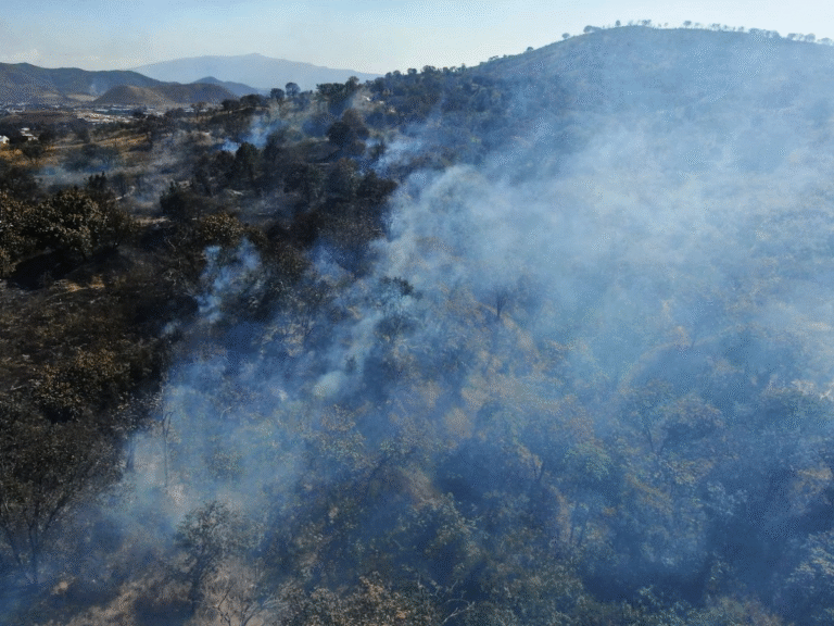 acusan-a-la-familia-leano-duena-de-la-uag-de-causar-quemas-forestales_273a21bd-2386-4e12-bdb6-90cbce65084a_medialjnimgndimage=fullsize