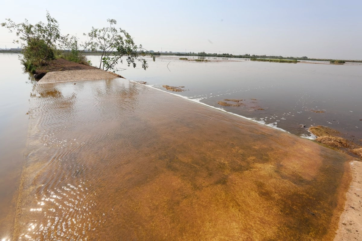 humedal-en-area-protegida-del-lago-de-texcoco-toma-forma-con-ayuda-de-bordos-e-inundaciones_78e80697-2d0f-4159-adb7-c59d4016cce3_medialjnimgndimage=fullsize