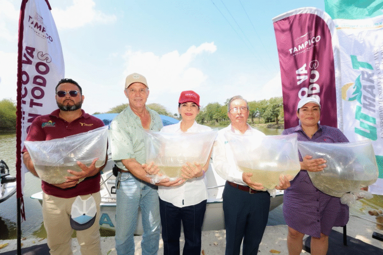 liberan-55-mil-peces-en-tampico-para-fortalecer-biodiversidad-del-sistema-lagunario_e76ee3ae-15c1-4925-9643-1a829f45a477_medialjnimgndimage=fullsize