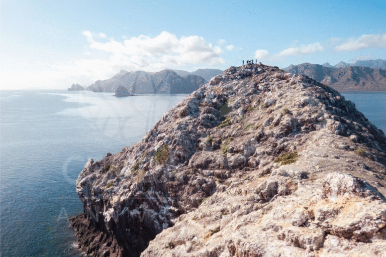 semar-resolvera-lo-de-puerto-de-loreto-para-no-afectar-ballenas-menciona-sheinbaum_d093d862-00d5-46b