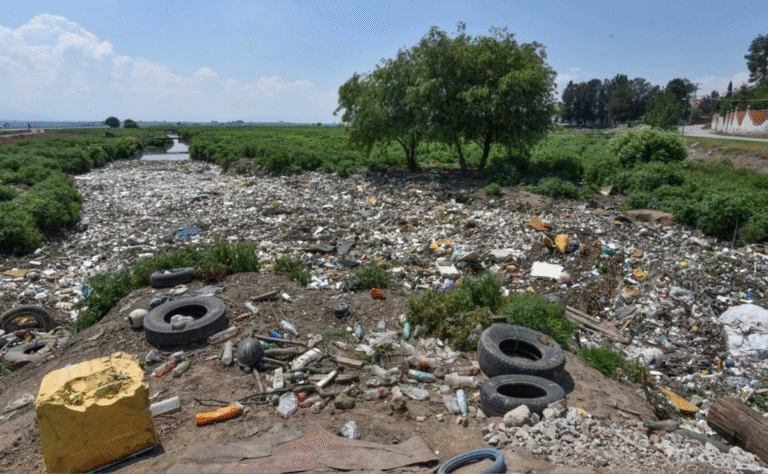 semarnat-publica-programa-nacional-para-remediar-sitios-contaminados_391c4ec8-28a1-4618-89db-20959ba53f4e_medialjnimgndimage=fullsize (1)
