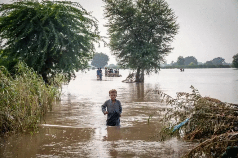 casi-todos-los-ninos-del-mundo-estan-expuestos-a-riesgos-climaticos-segun-unicef_21abff5f-247b-43ad-