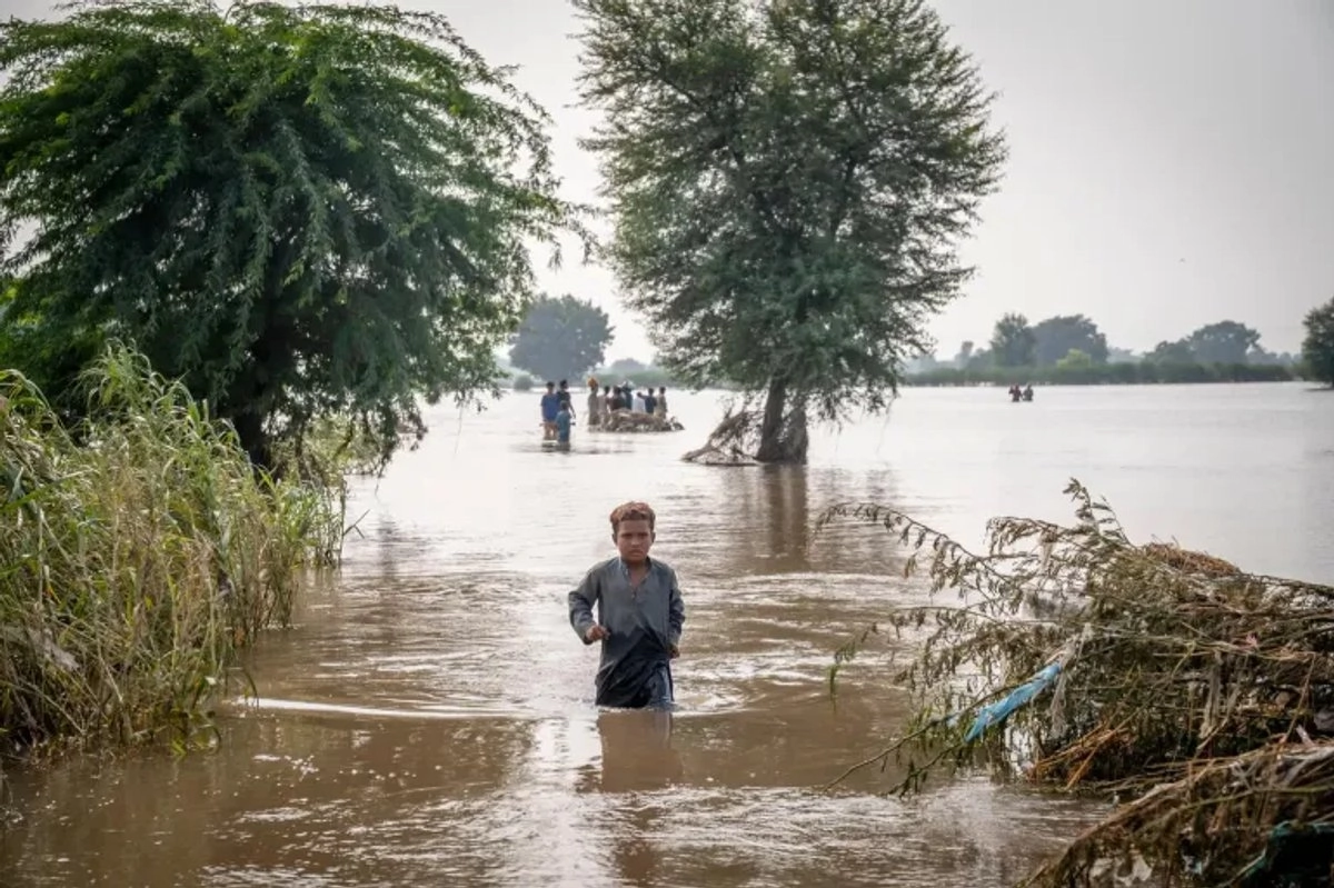 casi-todos-los-ninos-del-mundo-estan-expuestos-a-riesgos-climaticos-segun-unicef_21abff5f-247b-43ad-