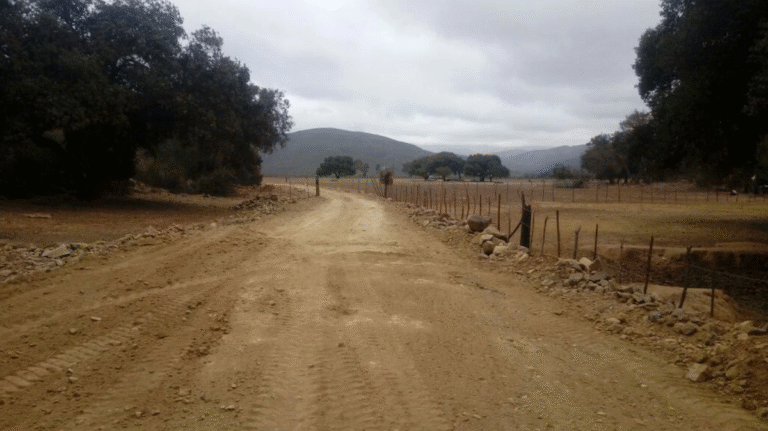 los-kumiais-se-integran-a-programa-de-caminos-artesanales-en-bc_12abbff8-37e8-43aa-9984-b5cbc51b4523_medialjnimgndimage=fullsize