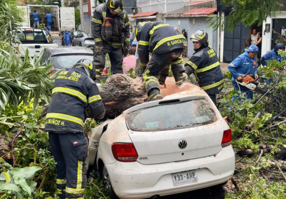 pegan-efectos-de-boris-en-cdmx-tiran-arboles-y-postes-y-provocan-cortocircuitos_7f3f9882-94e5-4cef-a01c-2c6aa6016356_medialjnimgndimage=fullsize