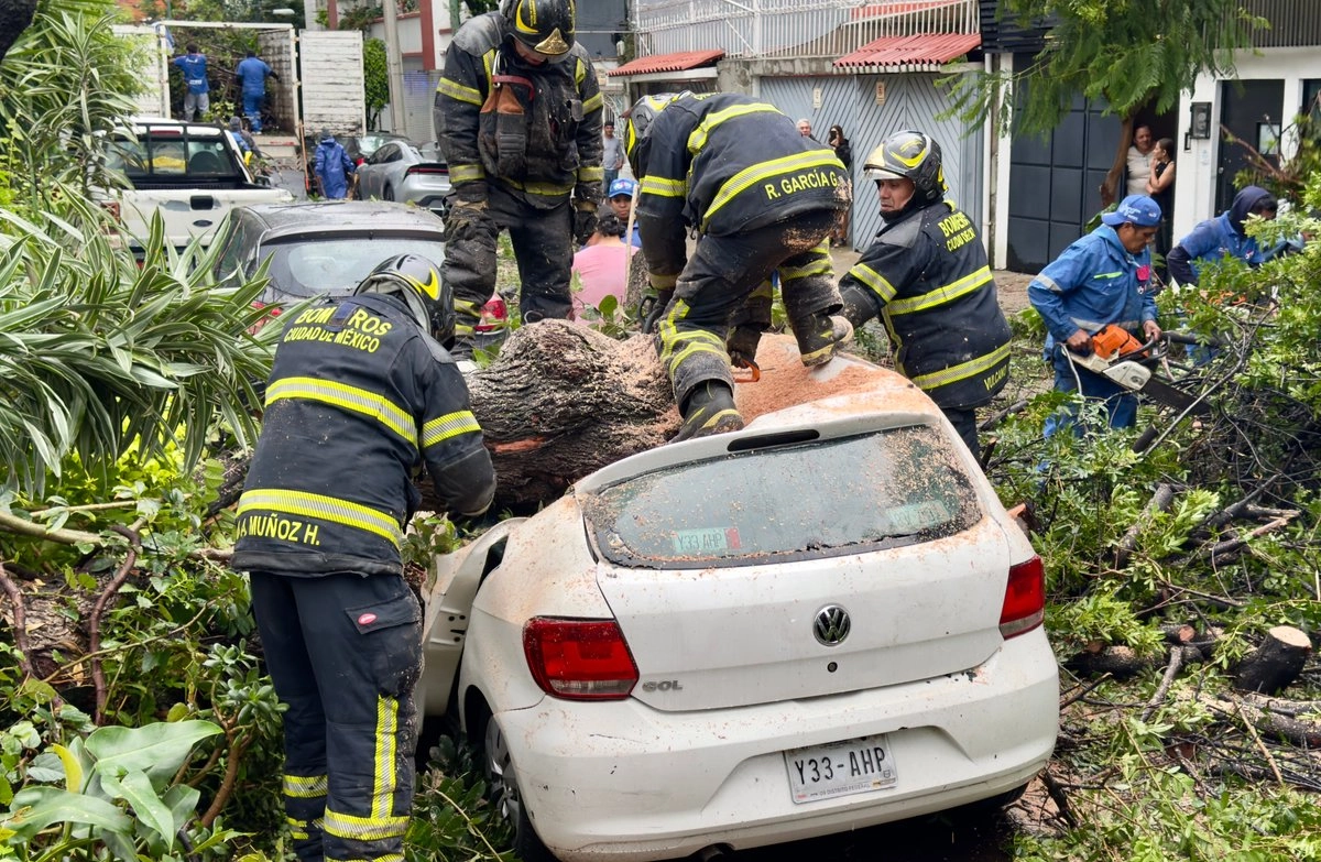 pegan-efectos-de-boris-en-cdmx-tiran-arboles-y-postes-y-provocan-cortocircuitos_7f3f9882-94e5-4cef-a01c-2c6aa6016356_medialjnimgndimage=fullsize