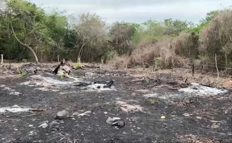 reportan-tala-de-arboles-y-quema-de-vegetacion-en-zona-sagrada-wixarica-de-nayarit_5f7c0e14-3982-433e-a24d-572b7f493b27_medialjnimgndimage=fullsize