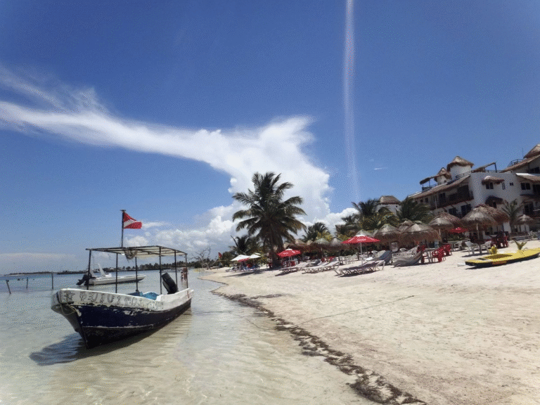 sheinbaum-anuncia-que-mahahual-tendra-proteccion-para-desarrollar-ecoturismo-comunitario_5eb615c0-8956-40d3-a298-d758148a77a9_medialjnimgndimage=fullsize