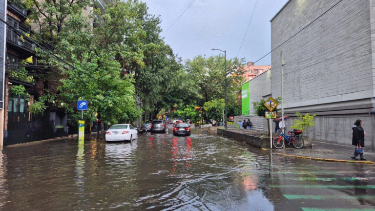tromba-causa-afectaciones-al-poniente-de-la-cdmx-activan-alerta-amarilla-12-alcaldias_aadc1241-e969-4c12-9f61-f6e476fa21bb_medialjnimgndimage=fullsize
