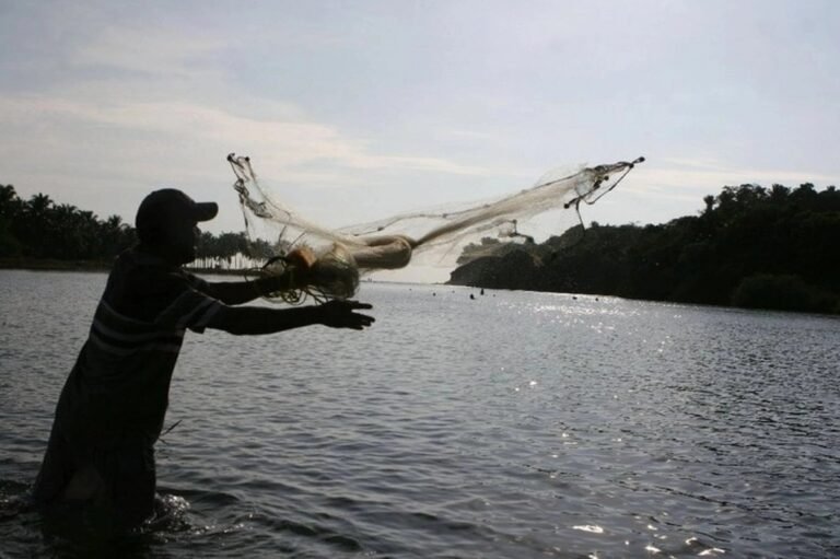 IMG-20260731-WA0023