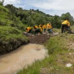 cemda-alerta-aumento-de-la-violencia-contra-defensoras-y-defensores-del-medio-ambiente-en-mexico_ff8cf8d8-f7d3-4f99-b5f5-ac7e98df90c8_medialjnimgndimage=fullsize
