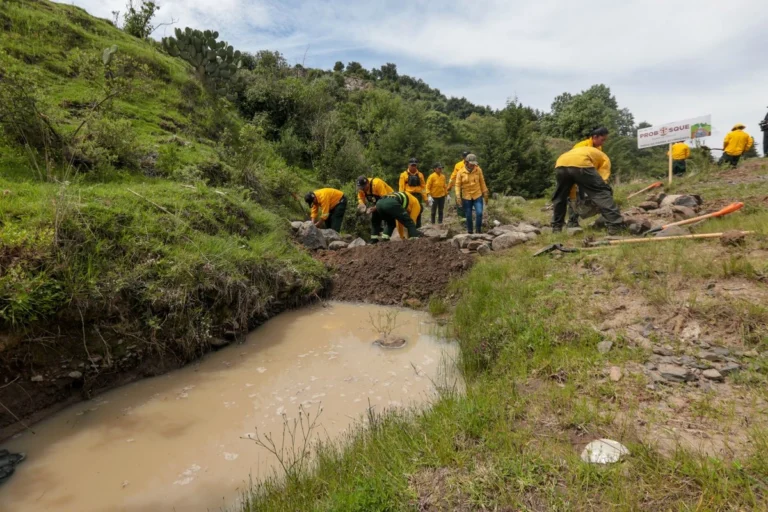cemda-alerta-aumento-de-la-violencia-contra-defensoras-y-defensores-del-medio-ambiente-en-mexico_ff8cf8d8-f7d3-4f99-b5f5-ac7e98df90c8_medialjnimgndimage=fullsize