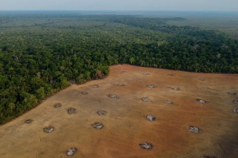 la-deforestacion-en-la-amazonia-brasilena-cayo-a-minimo-en-10-anos_6ffc3ce9-7341-4e29-b506-53d9c336afbb_medialjnimgndimage=fullsize