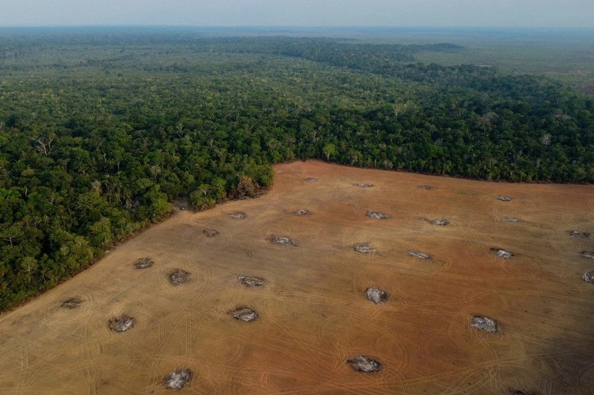 la-deforestacion-en-la-amazonia-brasilena-cayo-a-minimo-en-10-anos_6ffc3ce9-7341-4e29-b506-53d9c336afbb_medialjnimgndimage=fullsize