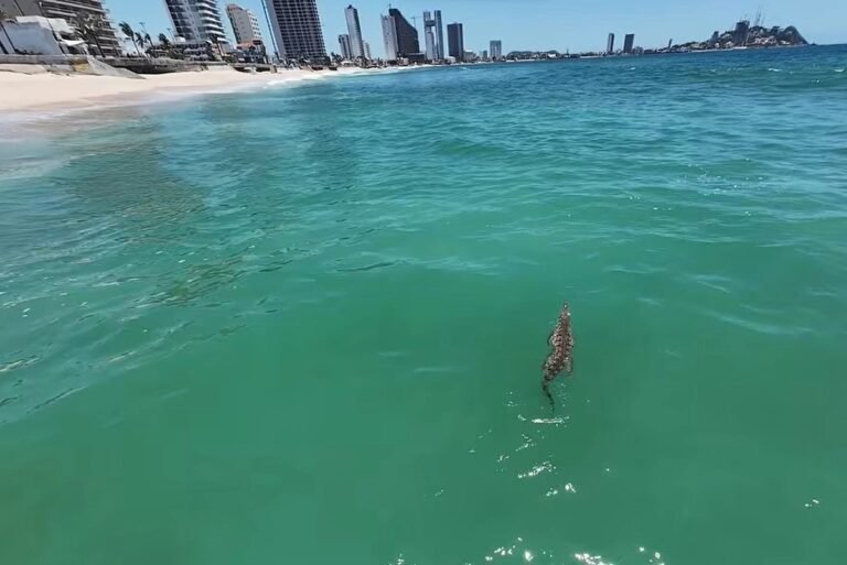 restringen-playas-de-mazatlan-po