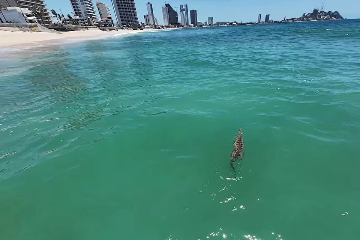 restringen-playas-de-mazatlan-po