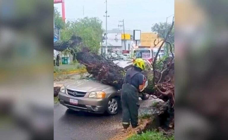 edomex-lluvias-derriban-arboles-y-barda-sobre-ve