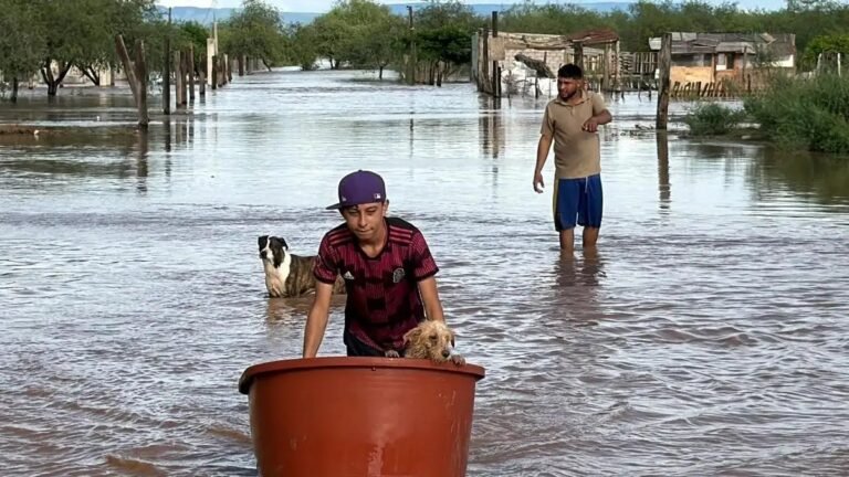 inundaciones-cortes-de-luz-y-danos-a-casas-dejo-