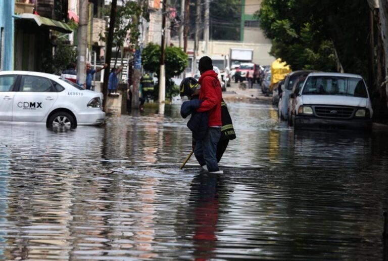 lluvias-en-cdmx-dejan-ocho-arboles-caidos-y-dano
