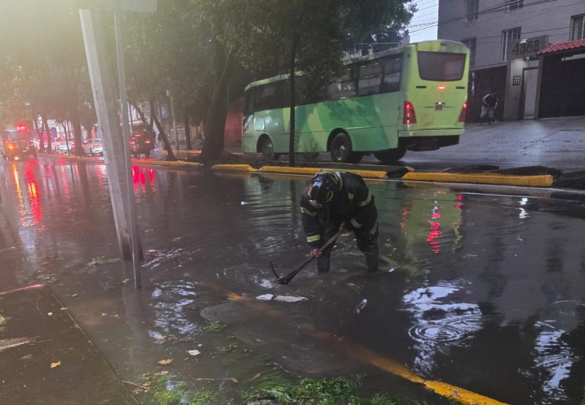 persisten-lluvias-en-cdmx-reportan-14-arboles-ca