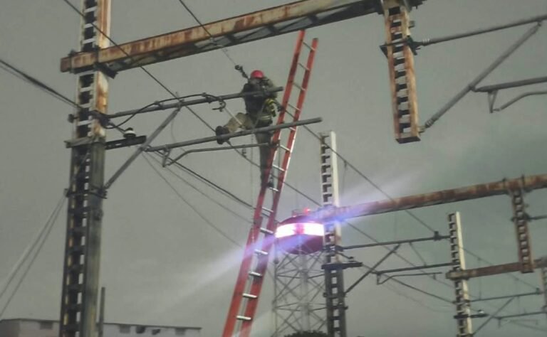 tren-ligero-cdmx-restablece-servicio-falla-en-ta