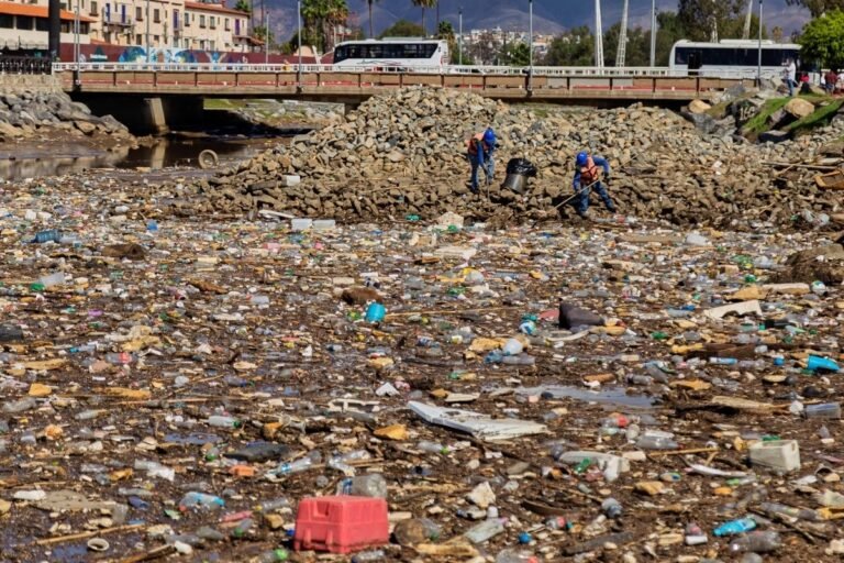 lluvias-arrastran-basura-por-el-arroyo-ensenada-